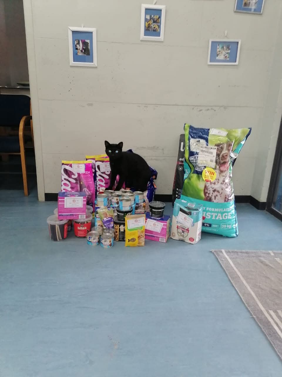 Fisantekraal Animal Welfare  (FAW)